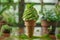 Delicious Green Matcha Soft Serve Ice Cream in Waffle Cone with Fresh Mint Leaves on Wooden Table