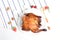 Delicious grilled chicken in white background, barbecue, food, whole roasted chicken, bbq, chicken rotisserie, acorn, flat lay, to