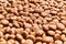Delicious group of dog food balls texture