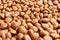 Delicious group of dog food balls texture