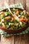 Delicious healthy Persian shirazi salad closeup on a plate. vertical