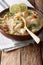 Delicious homemade Thai chicken soup tom kha gai close-up in a b