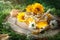 Delicious honey and fresh pollen of flowers on a wooden table. Selective focus.