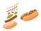 Delicious hot dog with flying ingredients like sesame seed bun, meat sausage, lettuce, tomato, cucumber, ketchup and