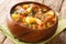 Delicious Italian beef stew with wine, potatoes, carrots, onions and celery close-up in a bowl. horizontal