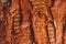 Delicious jerky on a wooden background. products in craft packaging. snack for alcohol. macro photo. close-up
