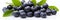 delicious juicy blueberries, a perfect macro background banner for fresh fruit enthusiasts