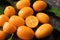 Delicious kumquat fruit on plate, closeup