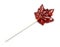 Delicious Maple Syrup Lollipop