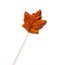 Delicious Maple Syrup Lollipop