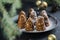 Delicious no bake chocolate  Christmas dessert healthy energy pine cone, sprinkled with powdered sugar. Decorated with fir