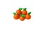 Delicious orange plasticine clay, arrange beautiful, cute five fruit dough