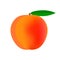 Delicious peach fruit icon