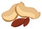 Delicious peanut, illustration, vector