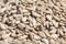 Delicious peeled sunflower seed top view background close-up