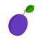 Delicious plum fruit icon