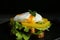 Delicious poached egg sandwich served on plate, closeup