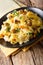 Delicious Portuguese cuisine: Bacalhau Bass cod with potatoes, o