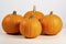 Delicious Pumpkin Feast Isolated