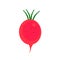 Delicious radish icon