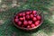 Delicious red plums in a large woven basket