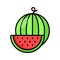 Delicious and refreshing watermelon fruit, premium vector of watermelon