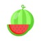Delicious and refreshing watermelon fruit, premium vector of watermelon