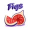 Delicious Ripe Figs Cartoon Social media Banner