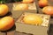 Delicious ripe juicy mangos on wooden table, closeup