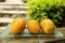 Delicious ripe yellow mangos on plate outdoors