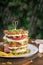Delicious sandwich with different fillings, lettuce, salami, ham, fresh white cheese, on a rustic background, rustic style, summer
