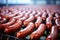 Delicious sausage factory: gourmet meat production