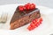 A delicious slice of Sacher torte with redcurrant on a white plate