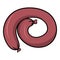 Delicious Smoked red sausage rolled into a ring, vector cartoon illustration
