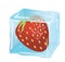 Delicious Strawberry in an ice-cube