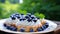 Delicious tartlet with mouthwatering fresh blueberries elegantly arranged on a pristine white plate