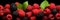 Delicious tayberries. fresh and juicy background banner for berry lovers and food enthusiasts