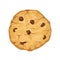 Delicious vector cartoon cookie with chocolate chips isolated on