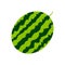 Delicious watermelon fruit icon