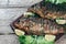 A deliciously roasted carp on a grill, presented on a wooden board, and along the leaves of green salad and pieces of lemon