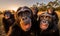 Delight in the adorable charm of chimpanzee through a captivating selfie. Creating using generative AI tools