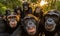 Delight in the adorable charm of a chimpanzee through a captivating selfie Creating using generative AI tools