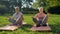 Delighted aged couple enjoying yoga in the park