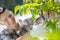 Delighted dark-haired male in protective glasses and gloves trimming tree outside