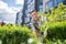 Delighted dark-haired male in protective gloves and apron crouching, planting spatifilium, smiling happily