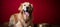 Delighted dog enjoying a hearty mealHappy canine standing by dog food bowl on plain background.