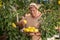 Delighted male in straw hat picking lemons, putting them on plate