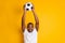 Delighted positive cheerful afro american guy hold football ball celebrate national team goal world cup match wear white