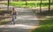 Delighted woman is having bike trip among trees