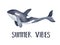Delightful black and white ocean orca whale character and inspirational phrase `Summer Vibes`.